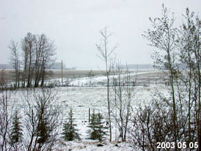 Spring 2004 in Alberta